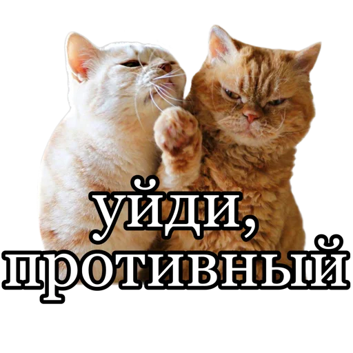 😑 Стикер «fucking pack» для Telegram