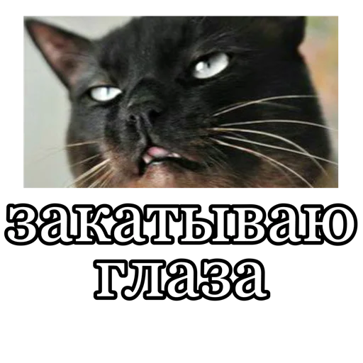🙄 Стикер «fucking pack» для Telegram