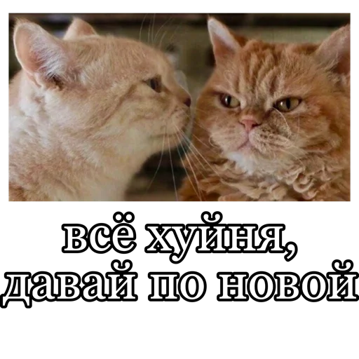 😒 Стикер «fucking pack» для Telegram