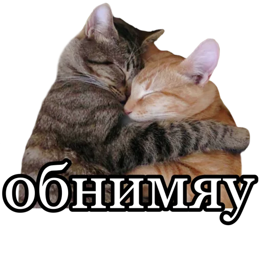 💕 Стикер «fucking pack» для Telegram