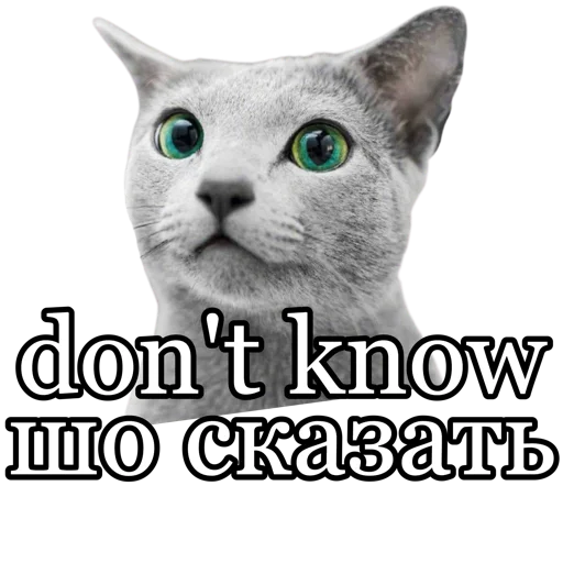 😐 Стикер «fucking pack» для Telegram