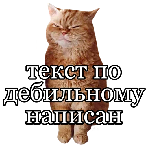🫤 Стикер «fucking pack» для Telegram