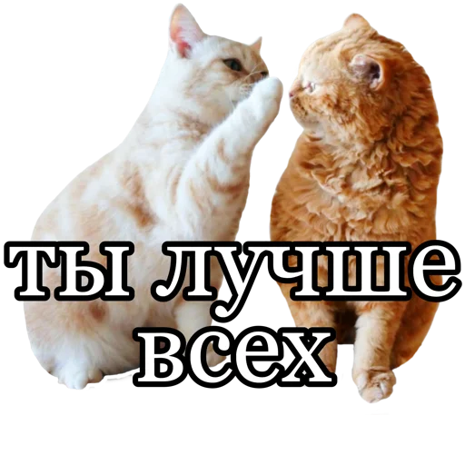😍 Стикер «fucking pack» для Telegram
