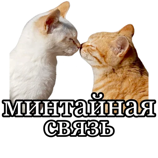 🫂 Стикер «fucking pack» для Telegram