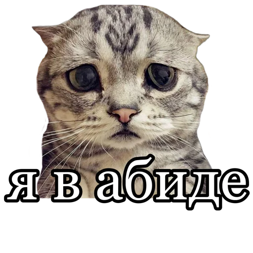 😣 Стикер «fucking pack» для Telegram