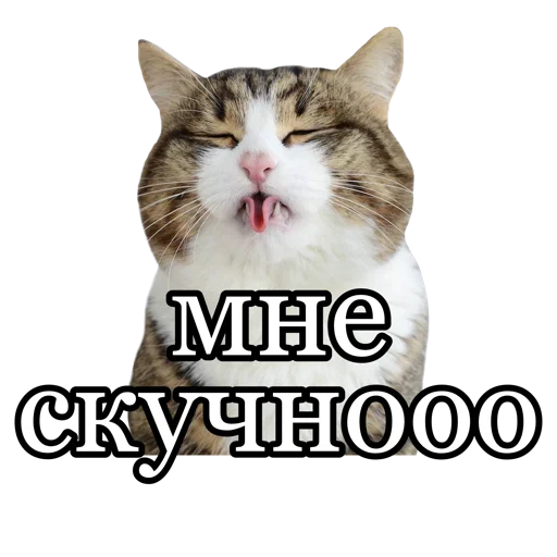 😴 Стикер «fucking pack» для Telegram