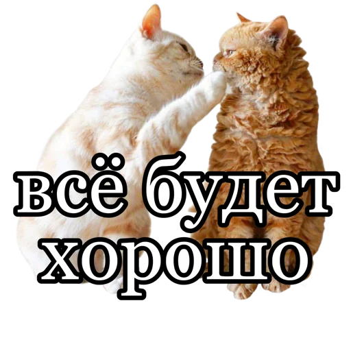 💖 Стикер «fucking pack» для Telegram
