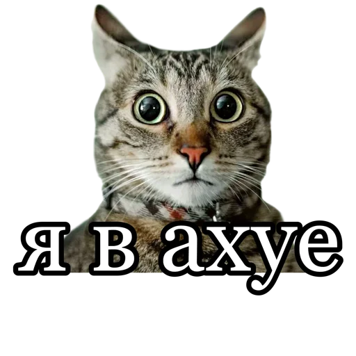 😳 Стикер «fucking pack» для Telegram