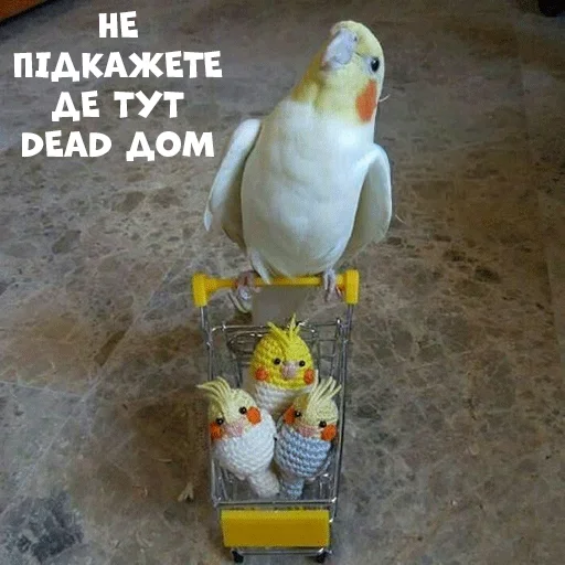 🤱 Стикер «Parrots» для Telegram