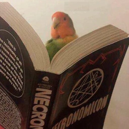 ✡ Стикер «Parrots» для Telegram