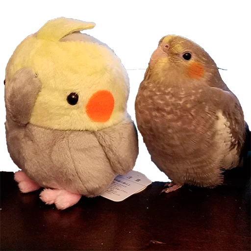 ☺️ Стикер «Parrots» для Telegram