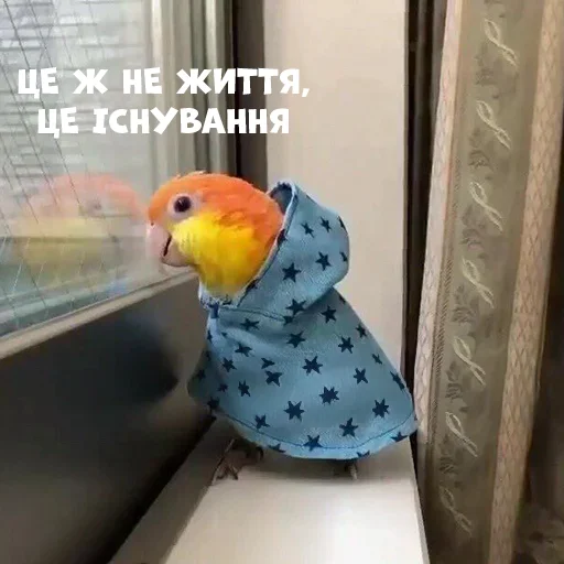 🦠 Стикер «Parrots» для Telegram