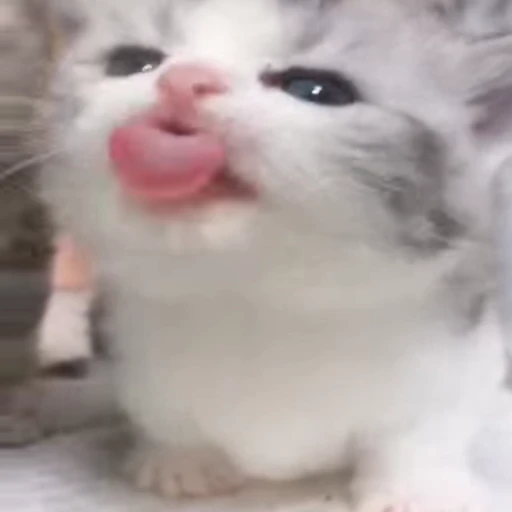 😛 Стикер «fuckingdrugaddict» для Telegram
