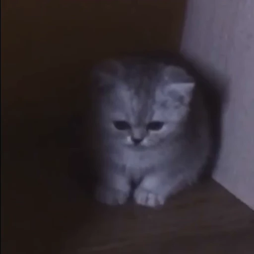 😔 Стикер «fuckingdrugaddict» для Telegram