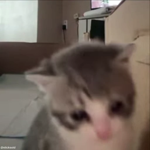 😵‍💫 Стикер «fuckingdrugaddict» для Telegram