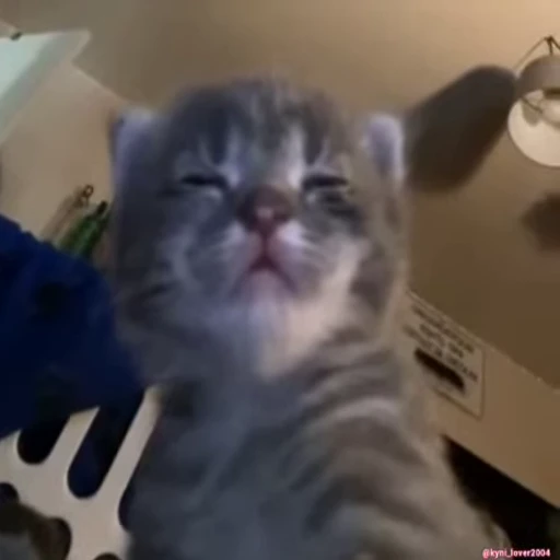 😴 Стикер «fuckingdrugaddict» для Telegram