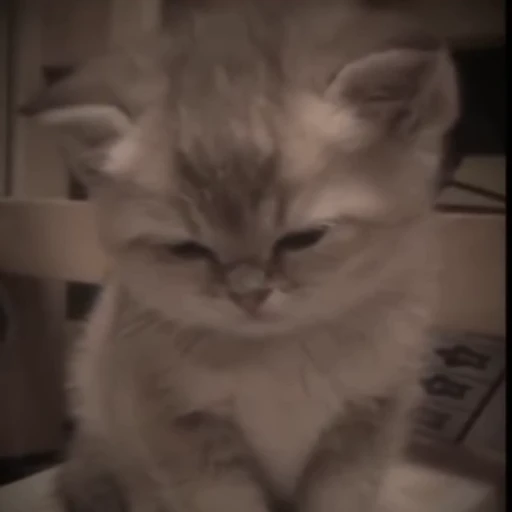 🥺 Стикер «fuckingdrugaddict» для Telegram
