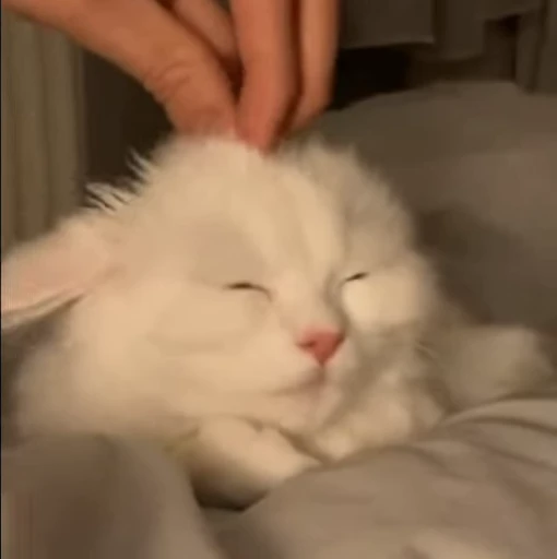 ☺️ Стикер «fuckingdrugaddict» для Telegram