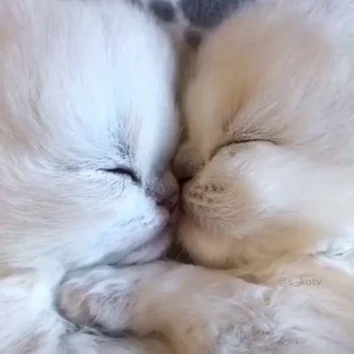 😘 Стикер «fuckingdrugaddict» для Telegram
