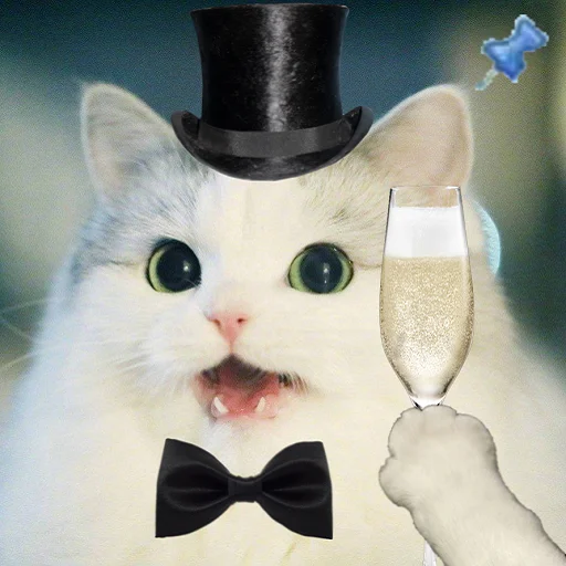😄 Стикер «FUCK JANNIES» для Telegram