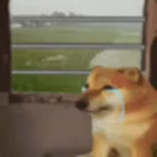 😭 Стикер «Fuck off Dogs Videostickers» для Telegram
