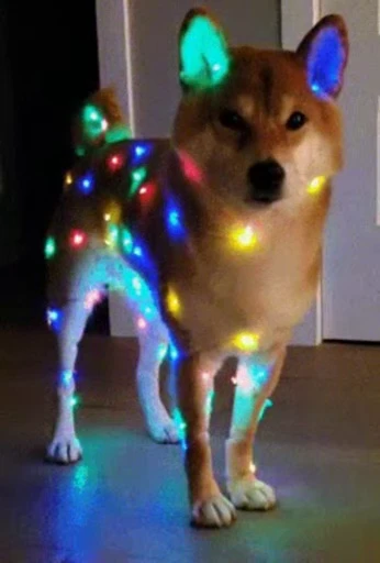 🎄 Стикер «Fuck off Dogs Videostickers» для Telegram