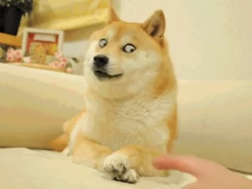 🙄 Стикер «Fuck off Dogs Videostickers» для Telegram