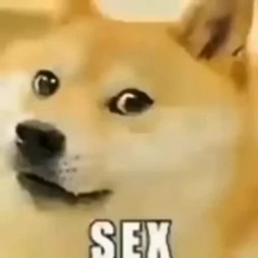 😕 Стикер «Fuck off Dogs Videostickers» для Telegram
