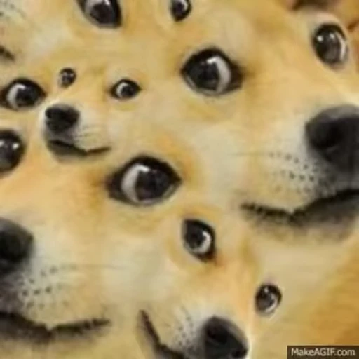 🤯 Стикер «Fuck off Dogs Videostickers» для Telegram