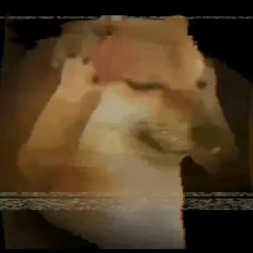 🤯 Стикер «Fuck off Dogs Videostickers» для Telegram