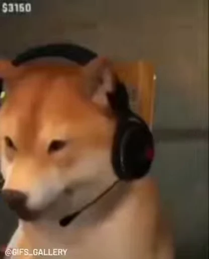 🎧 Стикер «Fuck off Dogs Videostickers» для Telegram