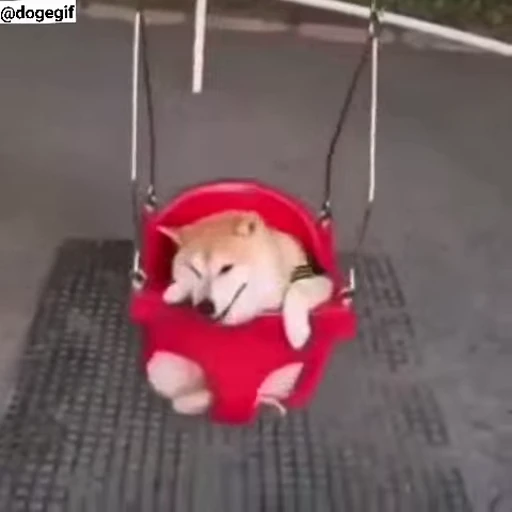 😀 Стикер «Fuck off Dogs Videostickers» для Telegram