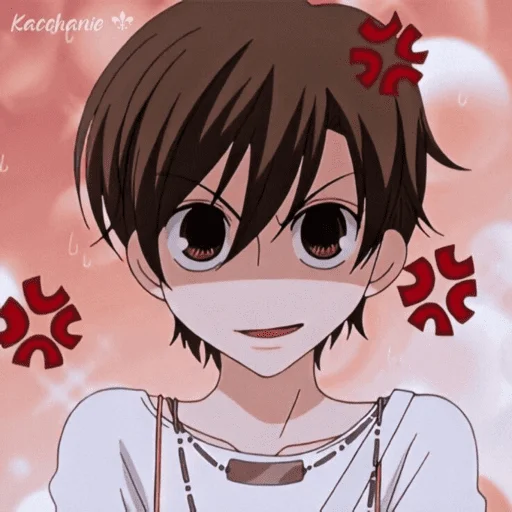 💫 Стикер «Haruhi fujioka» для Telegram