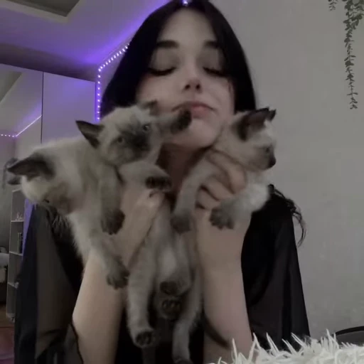 🐈 Стикер «сталкерграмм мод» для Telegram
