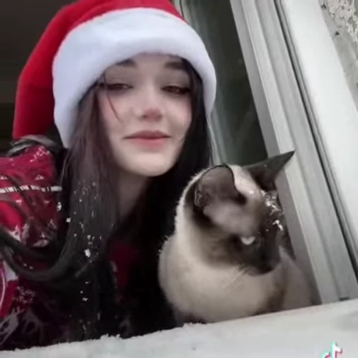 🌟 Стикер «сталкерграмм мод» для Telegram