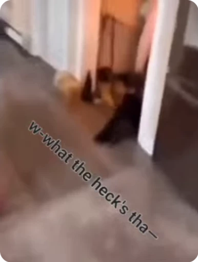 🏃 Стикер «Vibe Memes» для Telegram