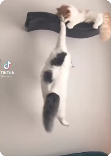 👋 Стикер «Vibe Memes» для Telegram