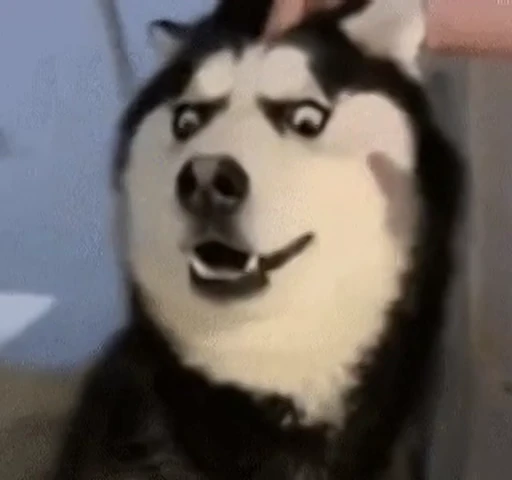 😨 Стикер «Vibe Memes» для Telegram
