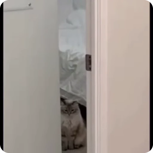 👀 Стикер «Vibe Memes» для Telegram