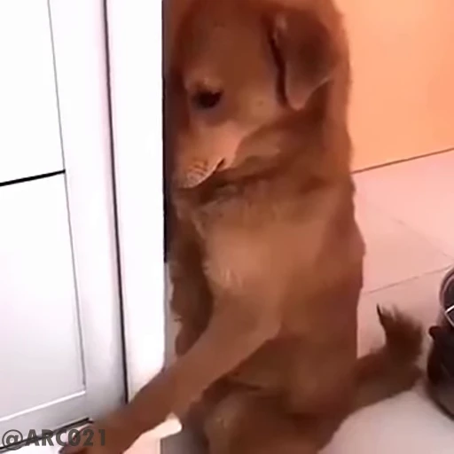 🥹 Стикер «Vibe Memes» для Telegram