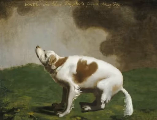 🐶 Стикер «Art n.5» для Telegram