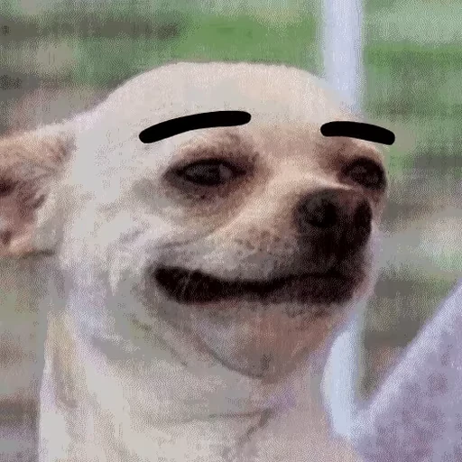 😏 Стикер «Funny Веселые» для Telegram