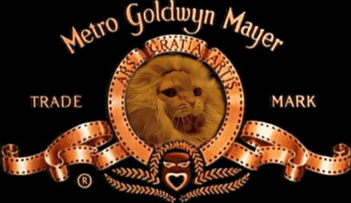 🦁 Стикер «Funny Веселые» для Telegram