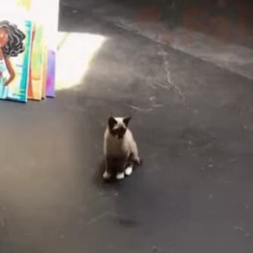 🙄 Стикер «FunnyAnimal3» для Telegram