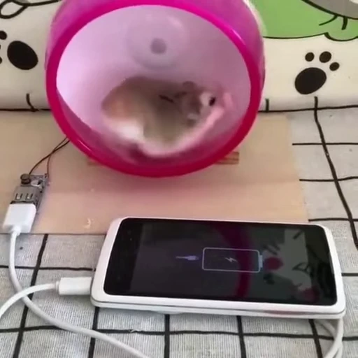 🔥 Стикер «FunnyAnimal3» для Telegram