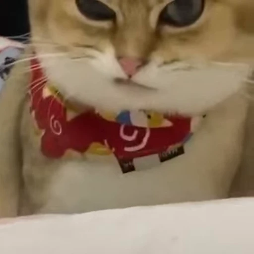 😏 Стикер «FunnyAnimal3» для Telegram