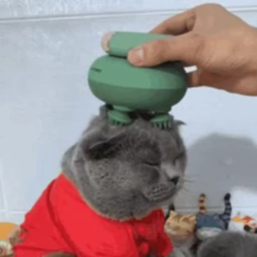 💆‍♂ Стикер «FunnyAnimal3» для Telegram