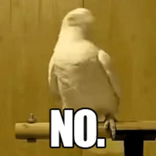 🙅‍♂ Стикер «FunnyAnimal3» для Telegram