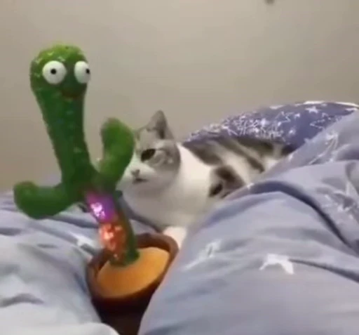 🤪 Стикер «FunnyAnimal» для Telegram