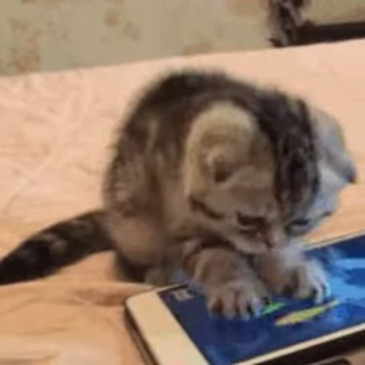 😋 Стикер «FunnyAnimal» для Telegram